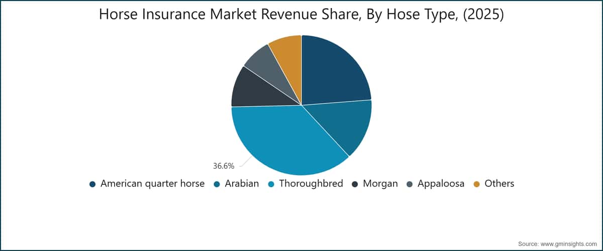Quota dei ricavi del mercato delle assicurazioni equine per tipologia di cavallo (2025)