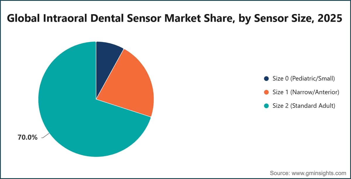Global Intraoral Dental Sensor Market Share, by Sensor Size, 2025
