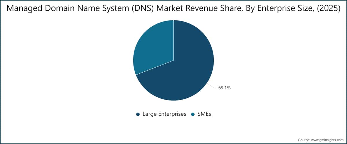 托管域名系统（DNS）市场收入份额按企业规模划分（2025年）