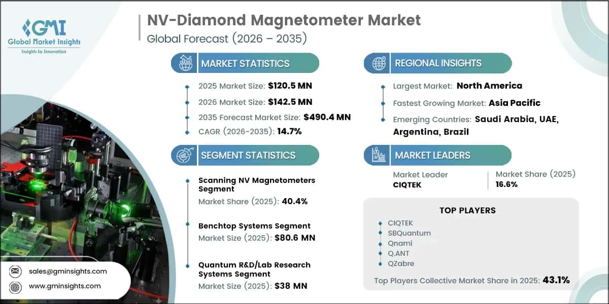 NV-Diamond Magnetometer Market Research Report