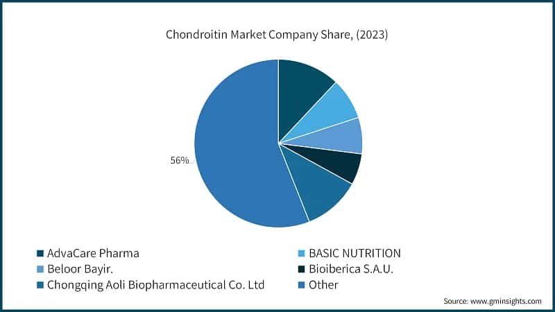 Chondroitin Market Company Share, (2023)
