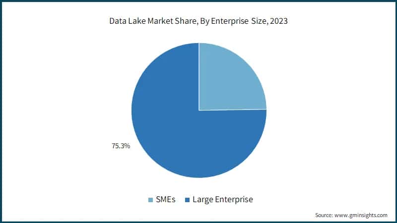 Data Lake Market Share, By Enterprise Size, 2023