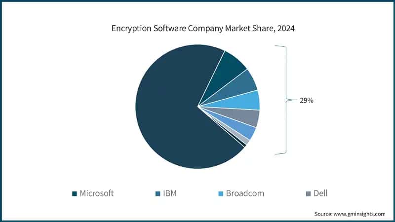 Encryption Software Company Market Share, 2024