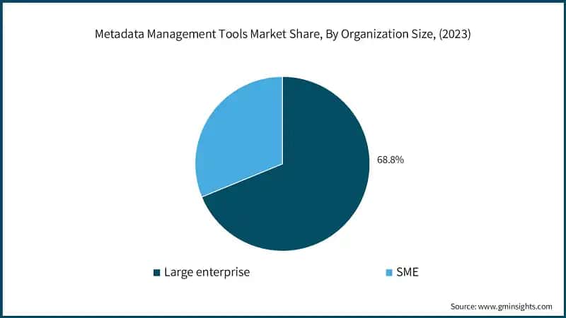 Metadata Management Tools Market Share, By Organization Size, (2023)