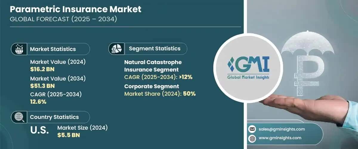 Parametric Insurance Market