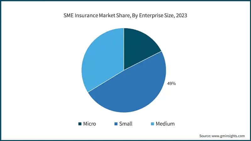 SME Insurance Market Share, By Enterprise Size, 2023