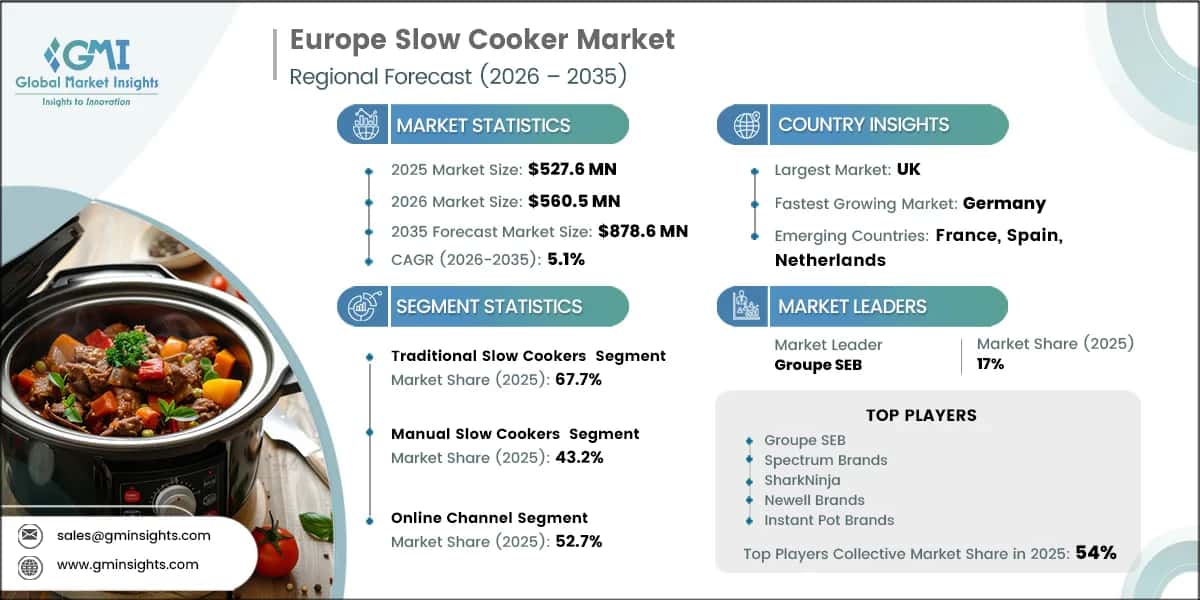 Europe Slow Cooker Market Research Report