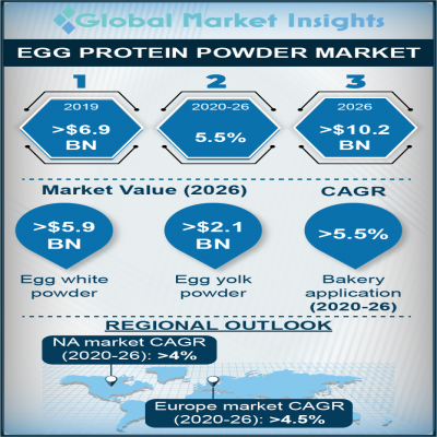 Egg Protein Powder Market