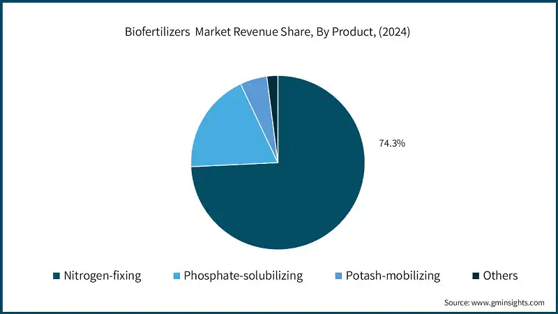 Biofertilizers  Market Revenue Share, By Product, (2024)