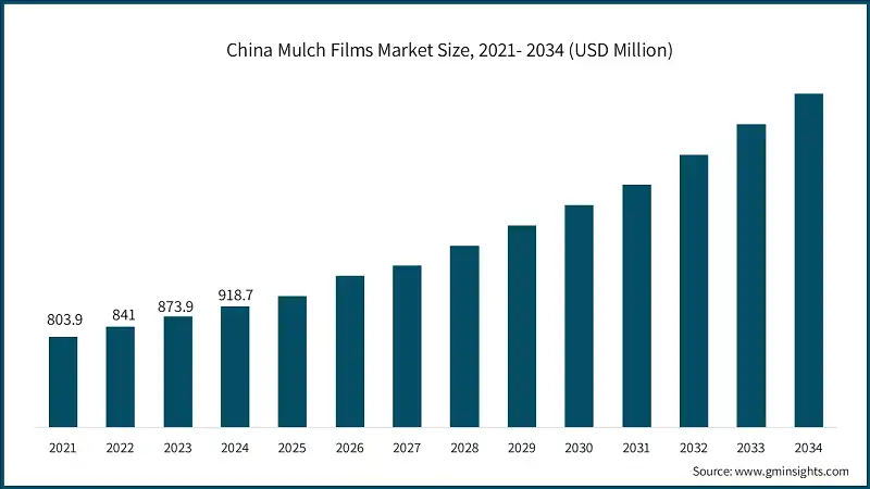 China Mulch Films Market Size, 2021- 2034 (USD Million)