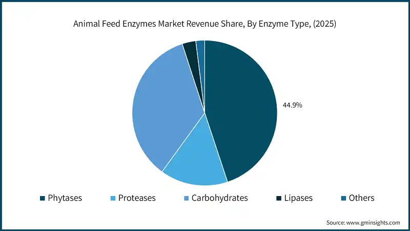 Animal Feed Enzymes Market Revenue Share, By Enzyme Type, (2025)