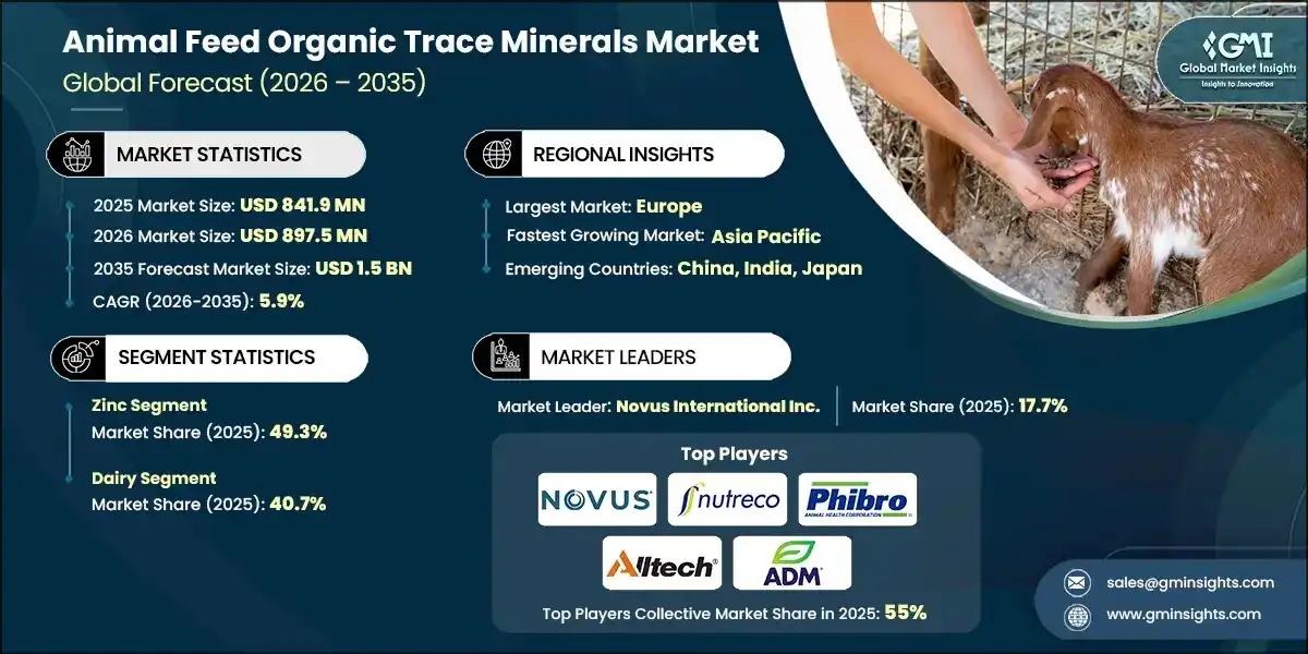Animal Feed Organic Trace Minerals Market