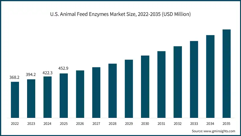 U.S. Animal Feed Enzymes Market Size, 2022-2035 (USD Million)