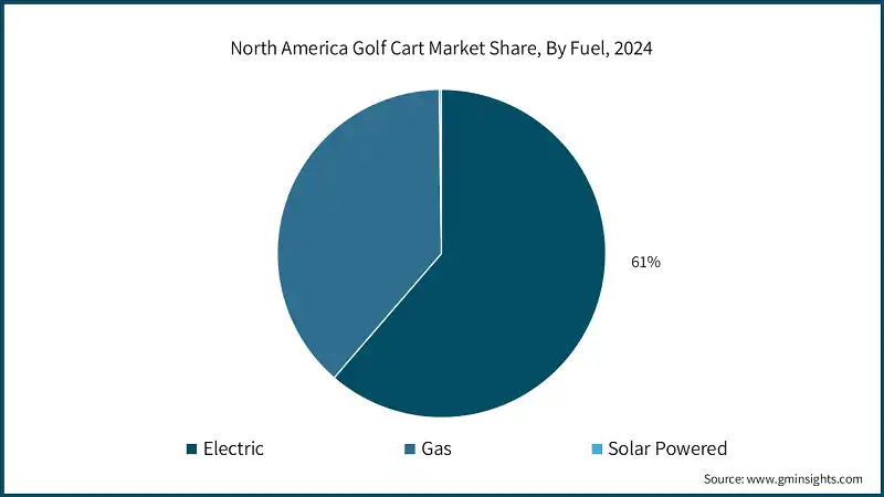 2024年北美高尔夫球车市场按燃料类型份额