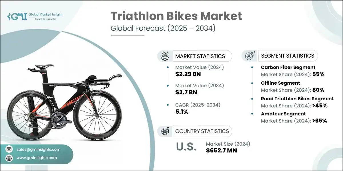 Triathlon Bikes Market Size & Share, Growth Trends 2025-2034