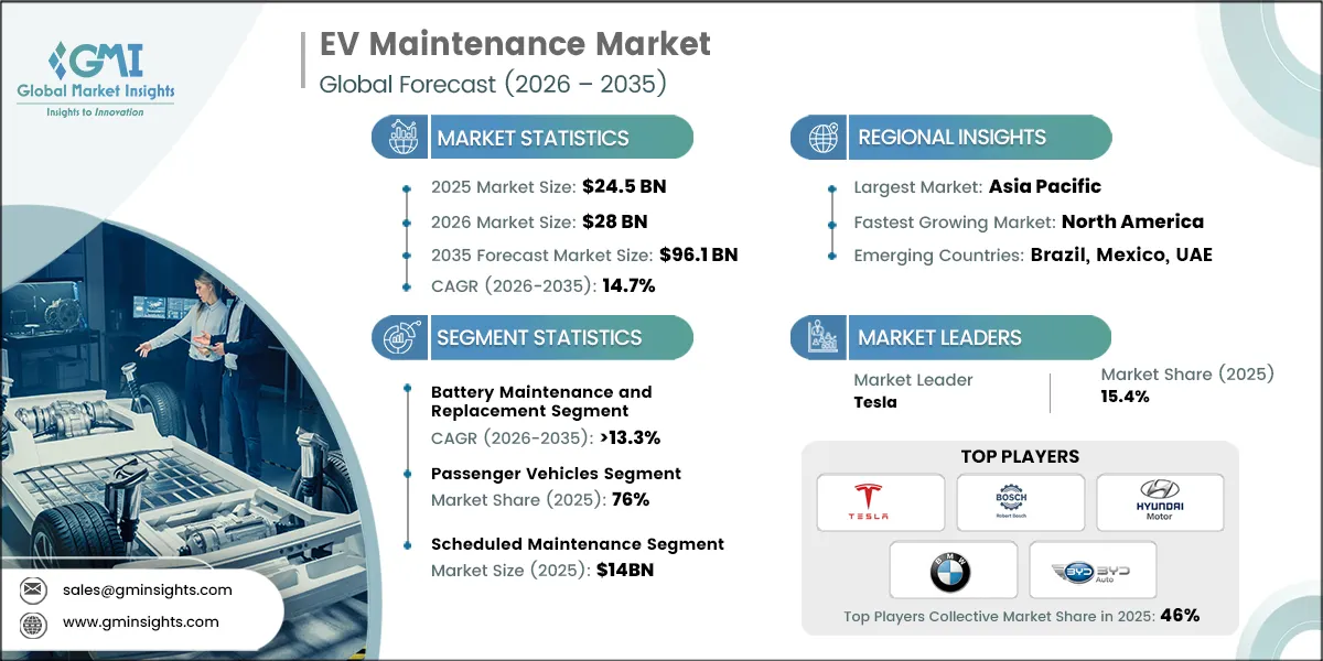 Informe de investigacion del mercado de mantenimiento de VE