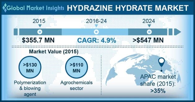 Hydrazine Hydrate Market Outlook