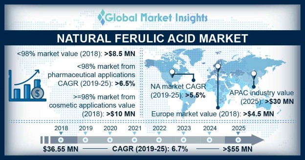 Natural Ferulic Acid Market Outlook