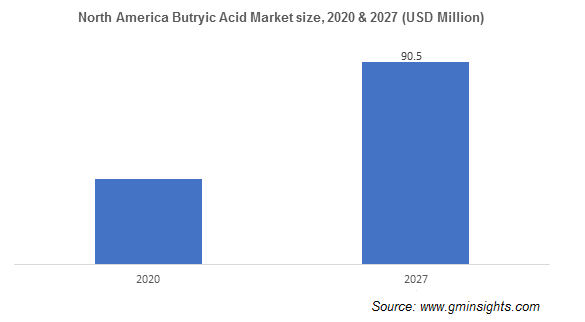 Butyric Acid Market by Region