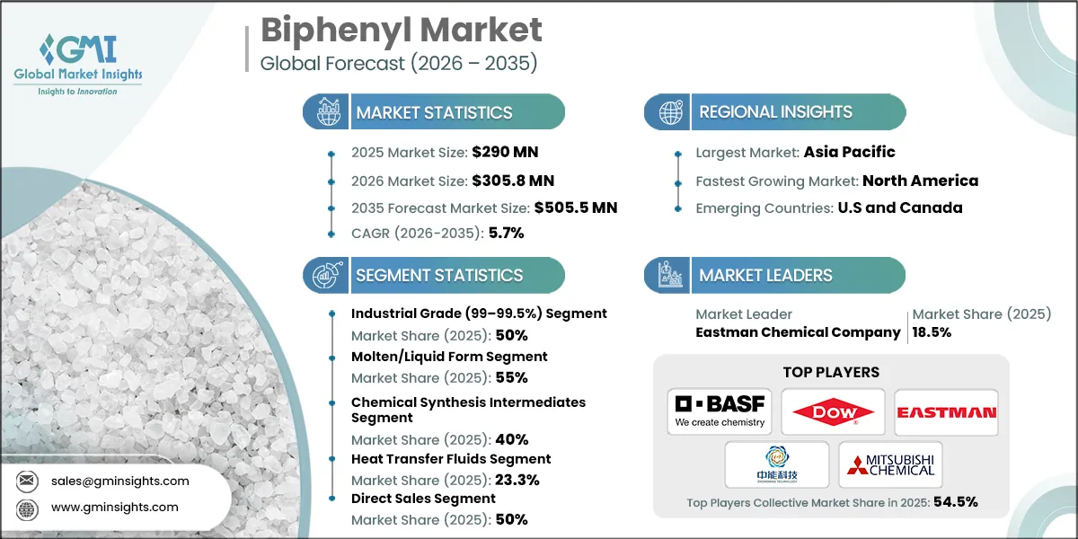 Biphenyl Market Research Report.webp