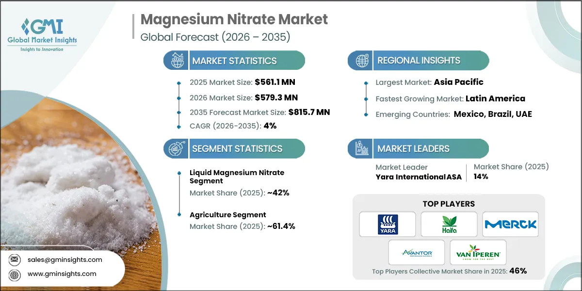Magnesium Nitrate Market Research Report