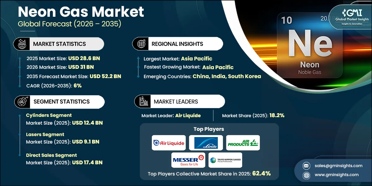 Отчет о рынке неона
