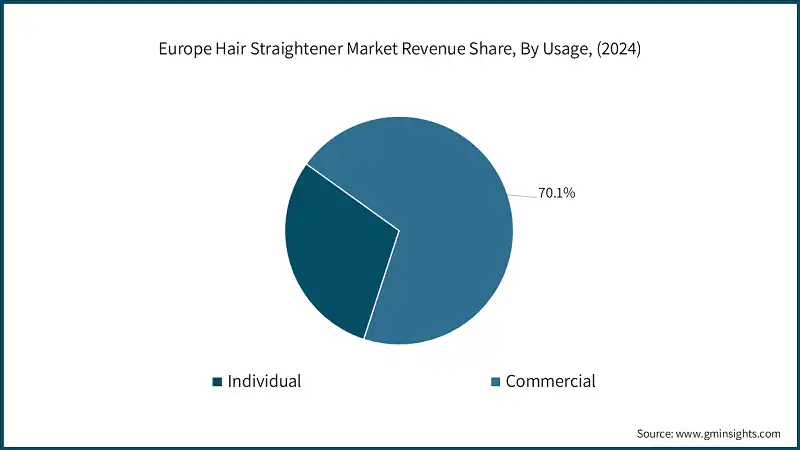Europe Hair Straightener Market Revenue Share, By Usage, (2024)