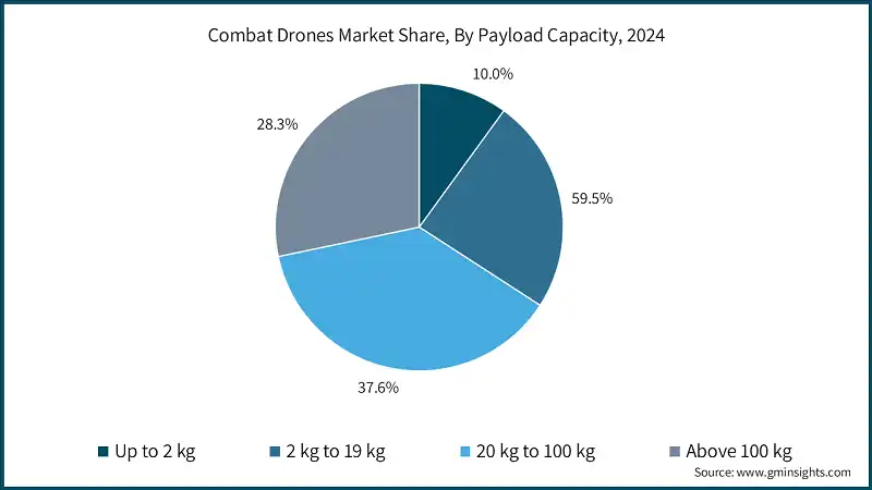 Доля рынка боевых дронов, по грузоподъемности, 2024