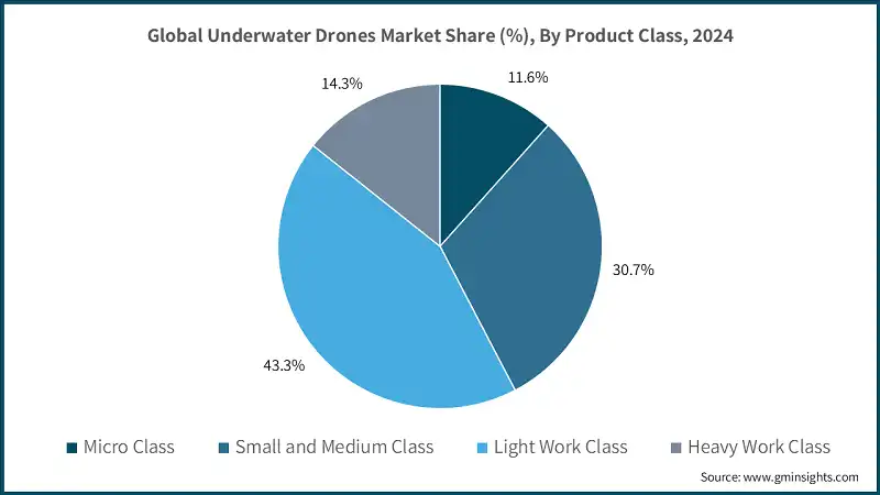 Global Underwater Drones Market Share (%), By Product Class, 2024 