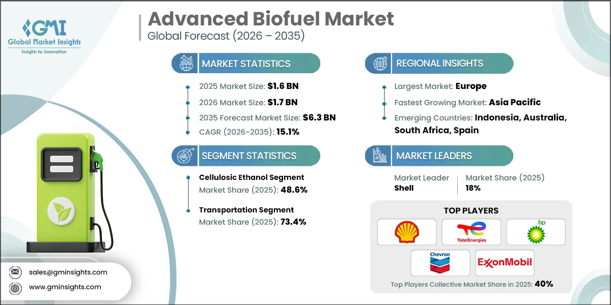 Rapporto di ricerca sul mercato dei biocarburanti avanzati