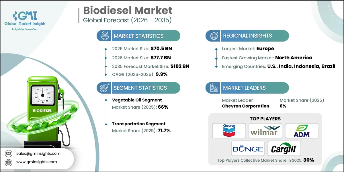 Biodiesel-Marktforschungsbericht