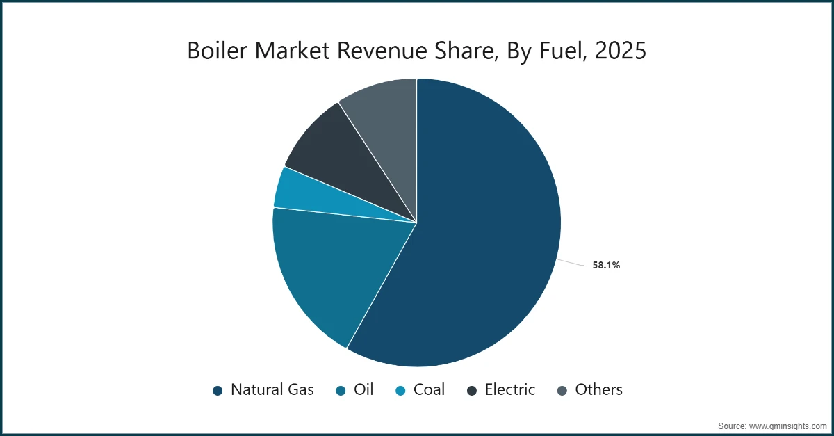 锅炉市场燃料份额（2025年）