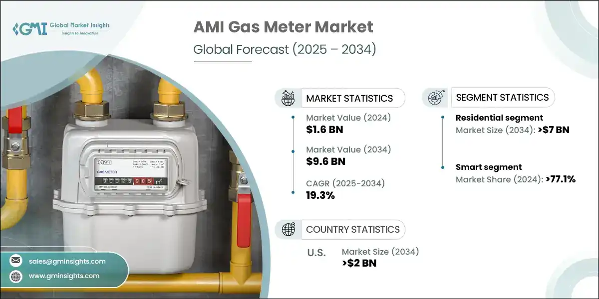 AMI Gas Meter Market
