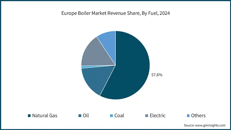 Europe Boiler Market Revenue Share, By Fuel, 2024