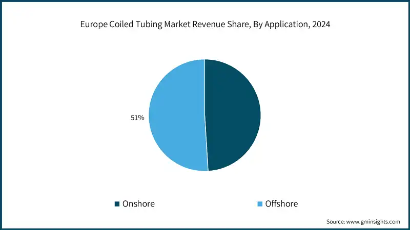 Europe Coiled Tubing Market Revenue Share, By Application, 2024 