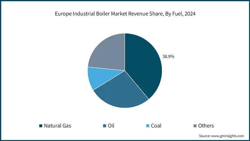 Europe Industrial Boiler Market Revenue Share, By Fuel, 2024