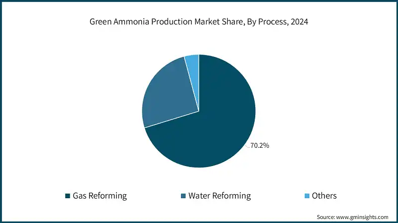 Green Ammonia Production Market Share, By Process, 2024