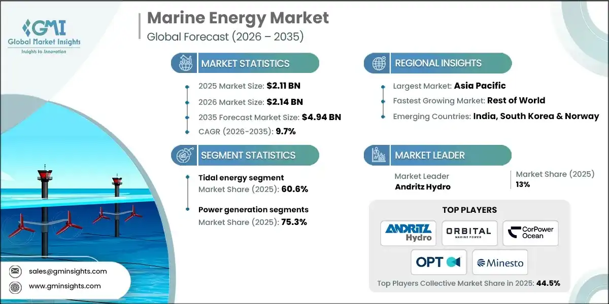 Marine Energy Market