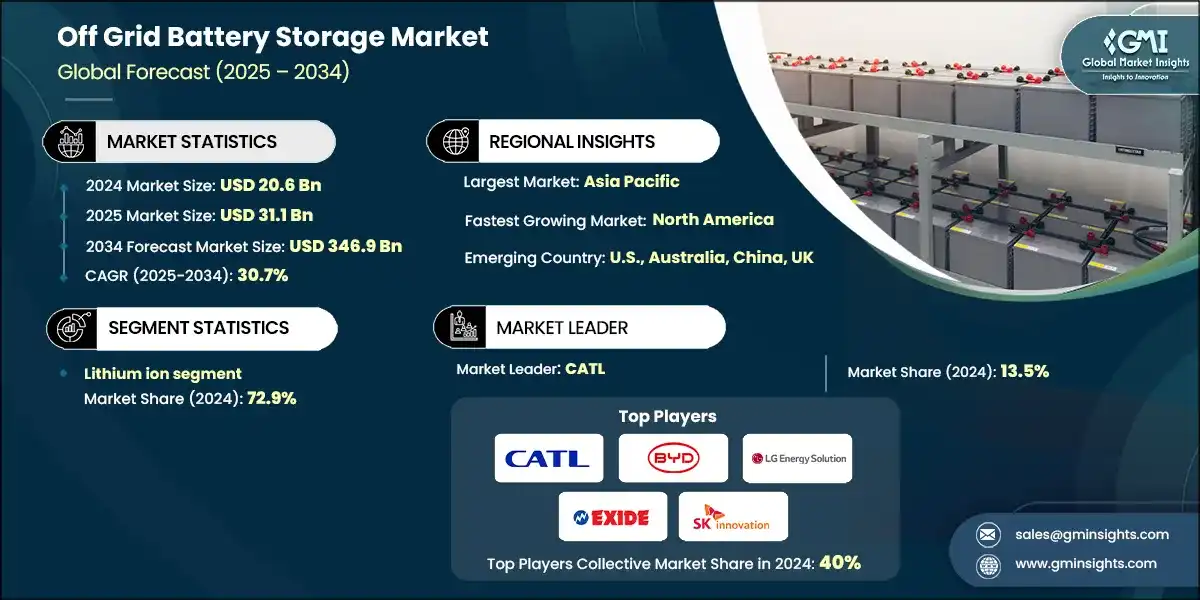 오프그리드 배터리 저장 시장