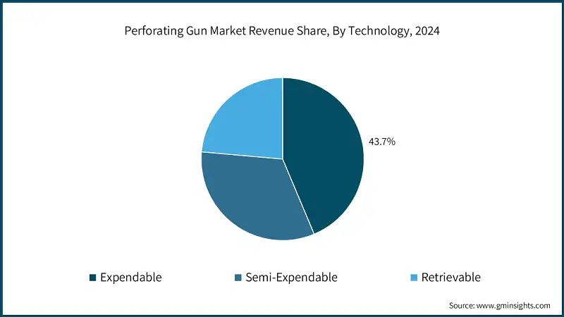 Perforating Gun Market Revenue Share, By Technology, 2024