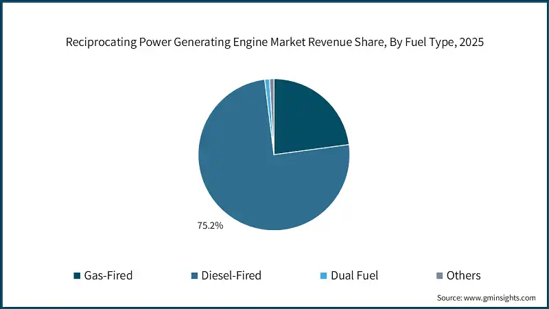 Reciprocating Power Generating Engine Market Revenue Share, By Fuel Type, 2025