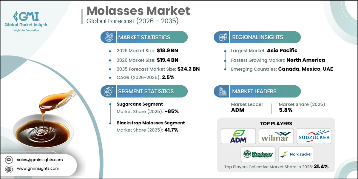 Molasses Market Research Report