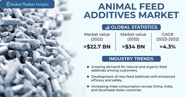 Animal Feed Additives Market