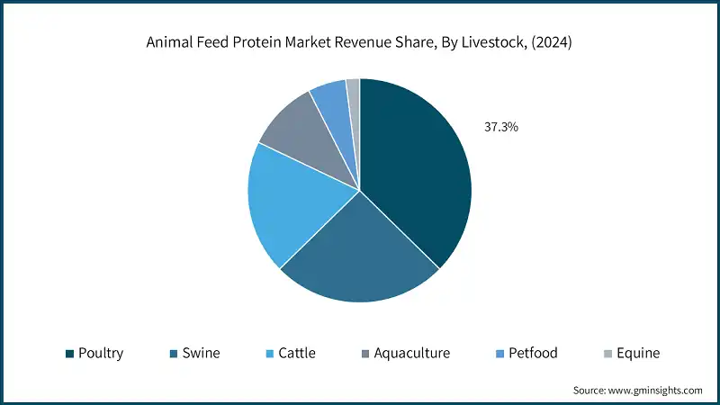Animal Feed Protein Market Revenue Share, By Livestock, (2024)