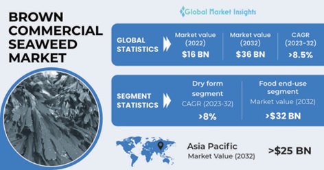 Brown Commercial Seaweed Market