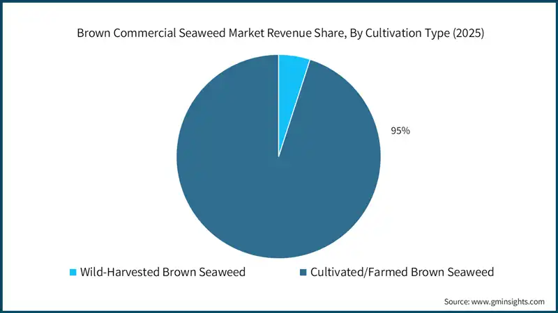  Brown Commercial Seaweed Market Revenue Share, By Cultivation Type (2025)