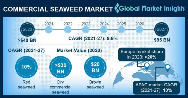 Commercial Seaweed Market 