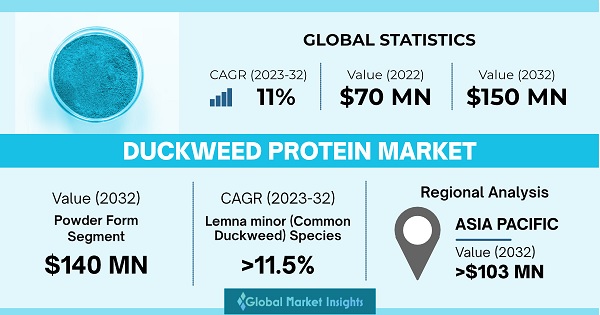 Duckweed Protein Market 