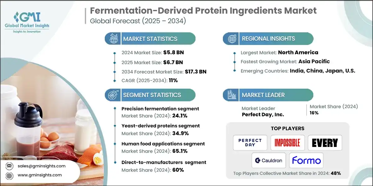 Mercato degli ingredienti proteici derivati dalla fermentazione