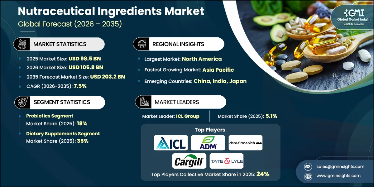 Nutraceutical Ingredients Market